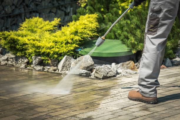 Best Pre-Holiday Cleaning  in Blue Mound, IL