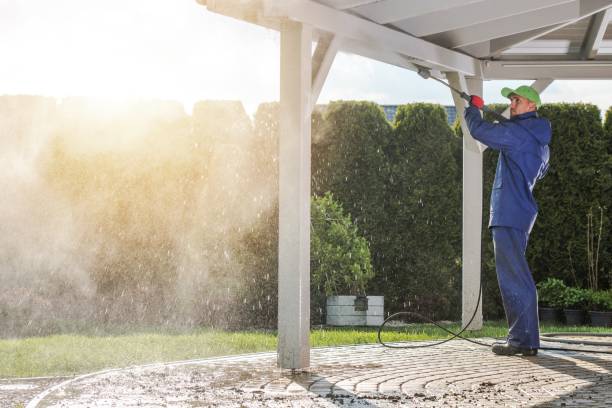 Best Fence Cleaning  in Blue Mound, IL